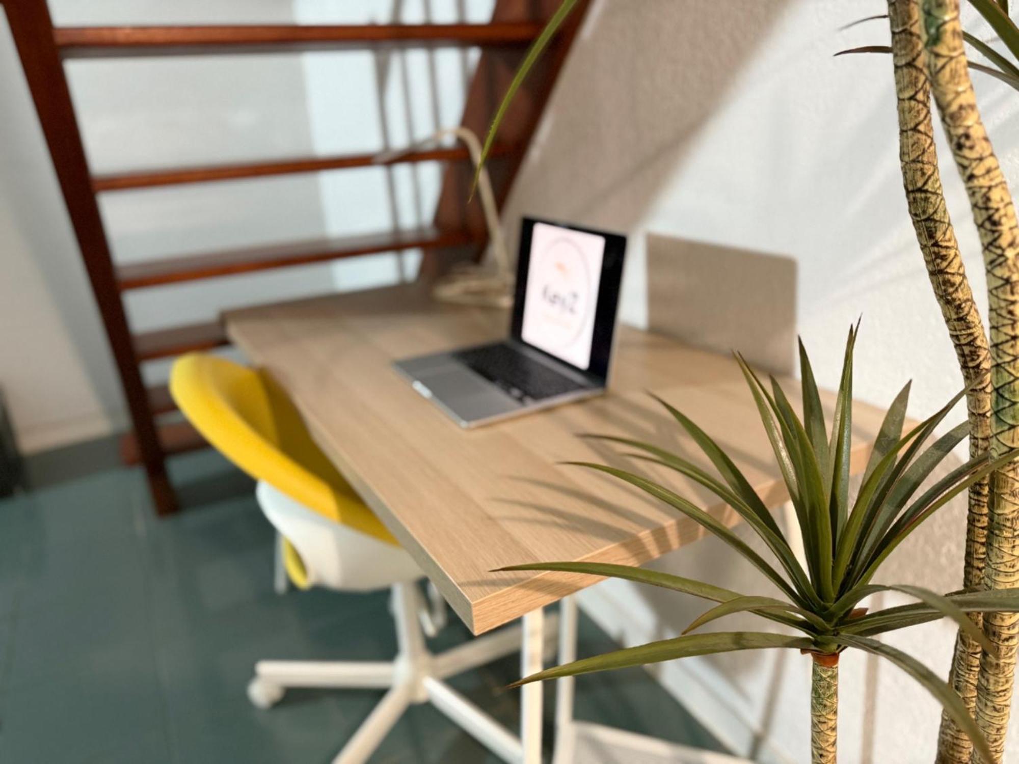 Le Duplex Compans - A 10Min Du Capitole - Free Checkin - Wifi Lejlighed Toulouse Eksteriør billede